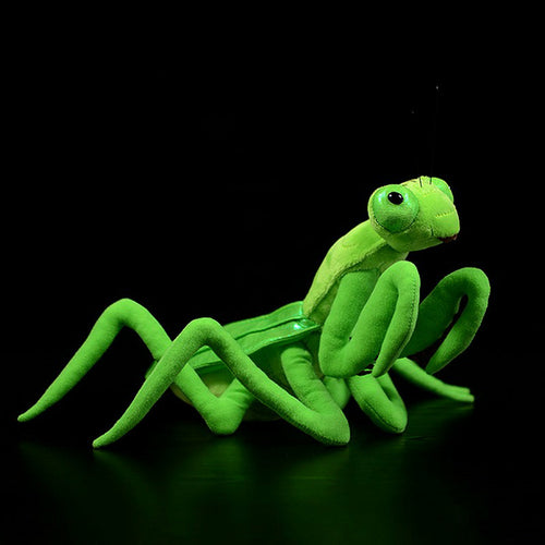 Lifelike Mantis Plush Stuffed Animal