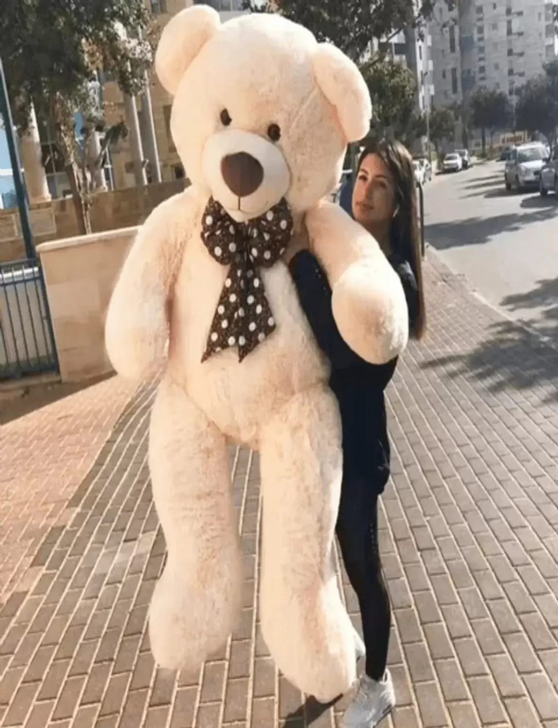 5 feet teddy bear gift 150cm beige colour soft toy