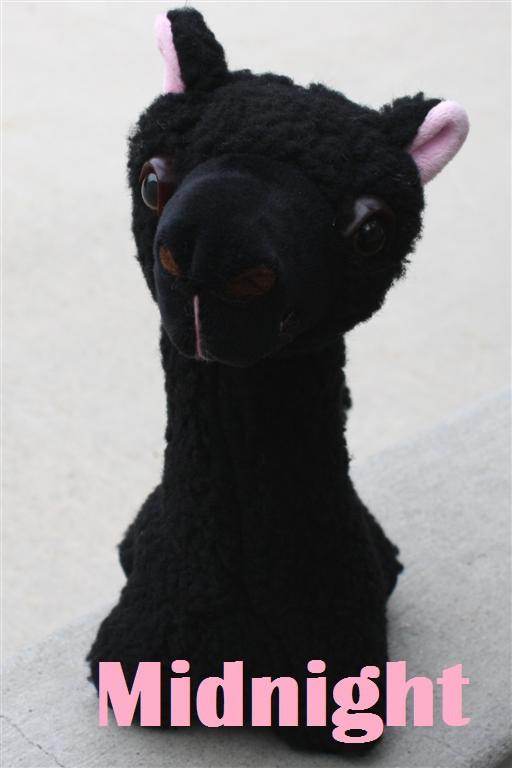 PacaBuddies Stuffed Alpaca