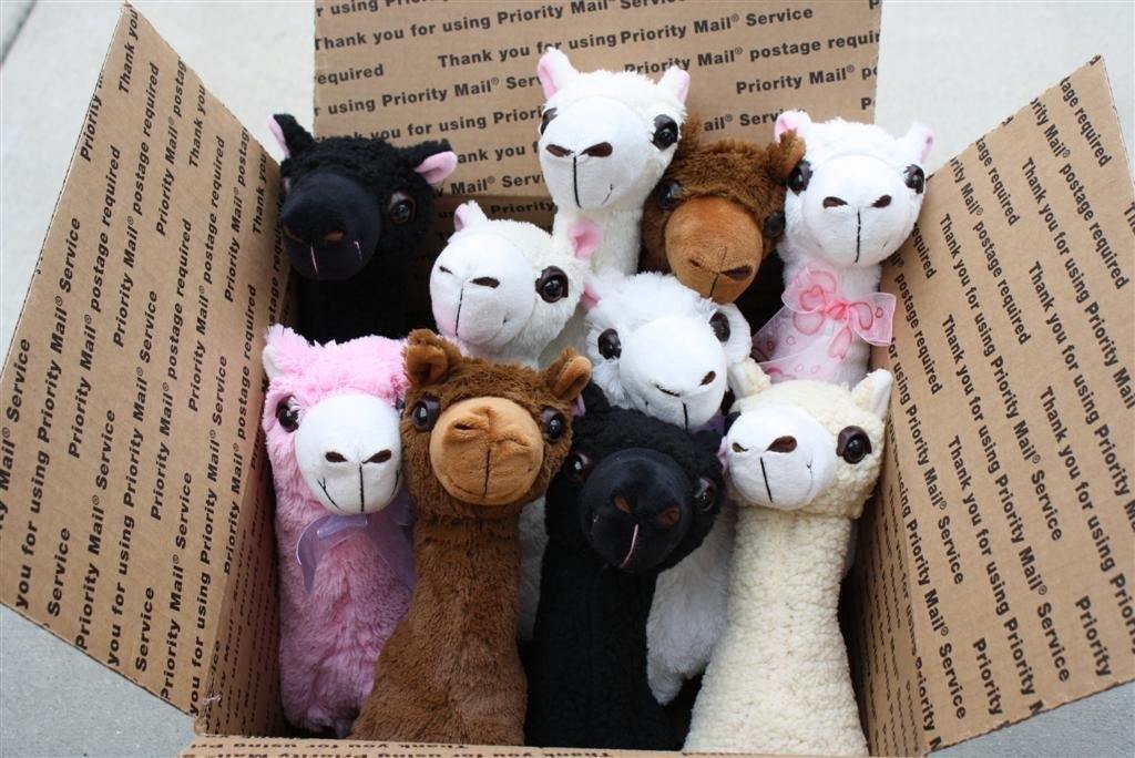 PacaBuddies Stuffed Alpaca